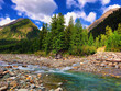 larches on the banks of a mountain river.