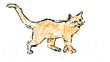 Freehand drawing a cat using a wiggly wobbly line.