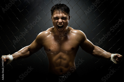 Photo: street fighter street fighter