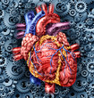 Human Heart Health