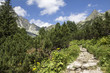 High Tatras in Slovakia, the path to Żabia Dolina
