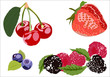 Realistic berries with leaves isolated on white background