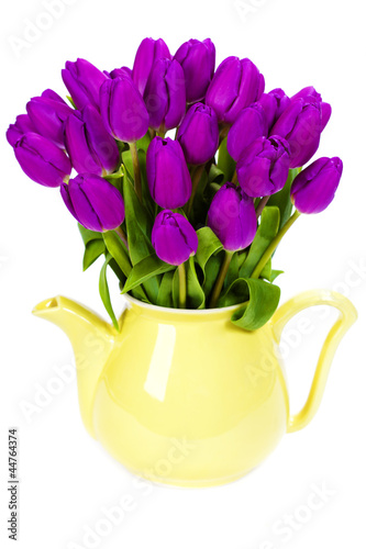 Photo: purple tulips purple tulips