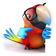 Fun parrot