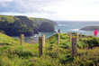 Klippen in Cornwall