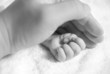 newborn baby hand cover by a male hand