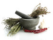 dried herbs in mortar and vegetables, isolatrd on white