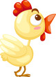 Cute chicken vector Illustration