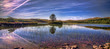 loch tree rocks