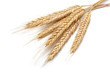 Wheat bundle