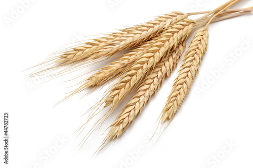 Photo: Wheat bundle Wheat bundle
