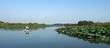 fiume micio