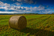 Bale of Straw