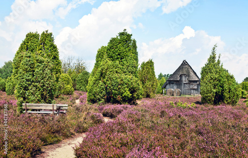 Photo: Lüneburger Heide, Schafstall Lüneburger Heide, Schafstall