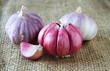 Garlic over rustic background