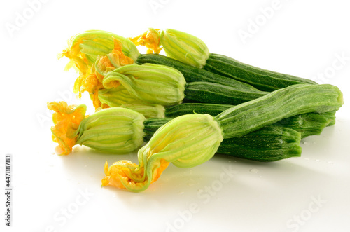 Photo: Courgette flowers Courgette flowers