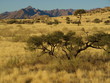 Namibia Landscape