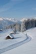 Foto: Winterwanderung in den Alpen Winterwanderung in den Alpen