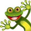 merry green frog