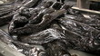Video: Fischmarkt auf Markt Fischmarkt auf Markt