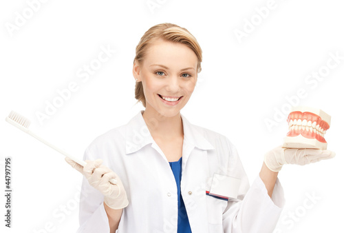 Photo: attractive female doctor with toothbrush and jaws attractive female doctor with toothbrush and jaws
