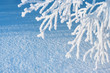 Winter background.