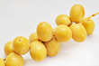Photo: fresh dates as jewish new year symbol fresh dates as jewish new year symbol