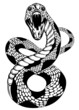 snake attacke