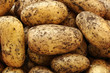 Kartoffeln