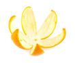 crust of orange