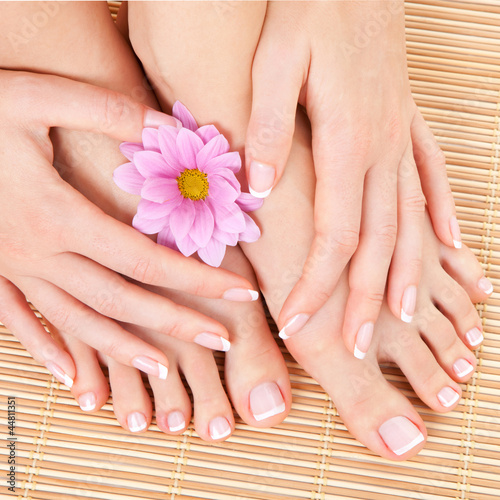 Photo: care for beautiful woman legs care for beautiful woman legs