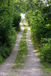 Road to the beach