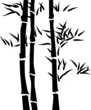 Silhouette of a branch of a bamboo