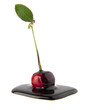 Foto: cherry in a chocolate cherry in a chocolate
