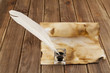 old paper and feather