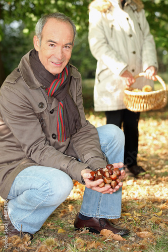 Photo: Middle-aged couple gathering chestnuts Middle-aged couple gathering chestnuts