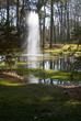 Spring Fountain