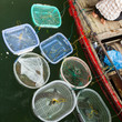 HA LONG BAY, VIETNAM AUG 10, 2012 - Food seller in boat. Many Vi