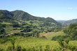 Cantal