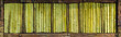 Old bamboo wall texture