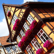House with flowers