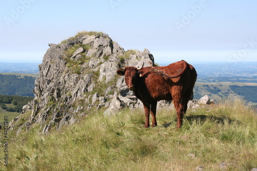 Photo: Cantal Cantal