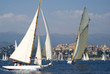 Classic yacht regatta