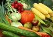 Bio - Obst und Gemüse