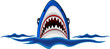 angry shark