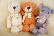 Babys Freunde