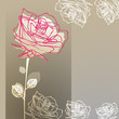 ROSE on a gray background