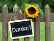 Foto: Danke ! Danke !