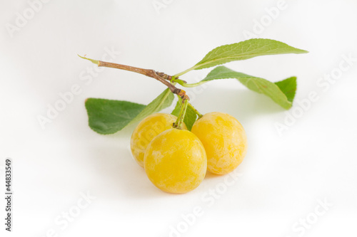 Photo: mirabelle plum mirabelle plum
