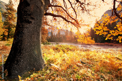 Photo: Autumn Autumn